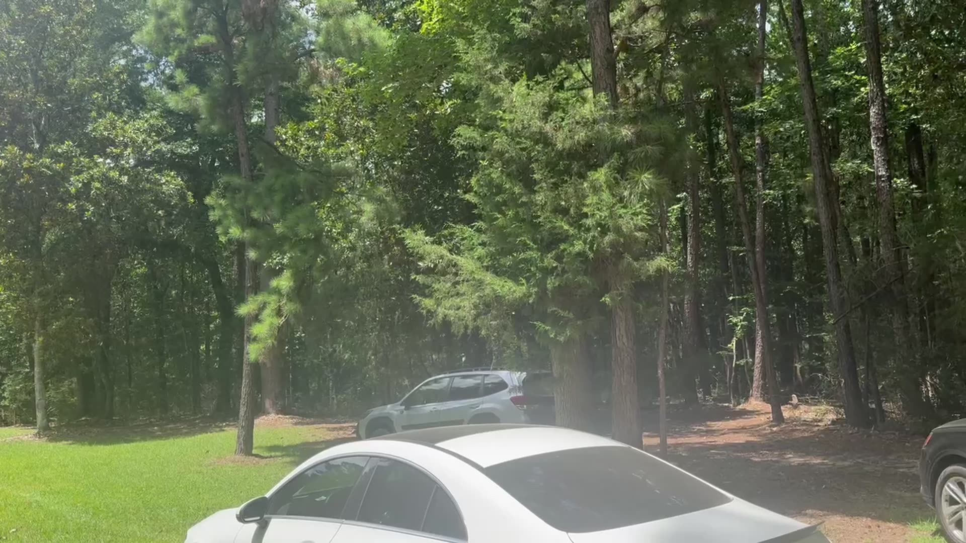 Vehicles parked in the shade at the ranch entrance