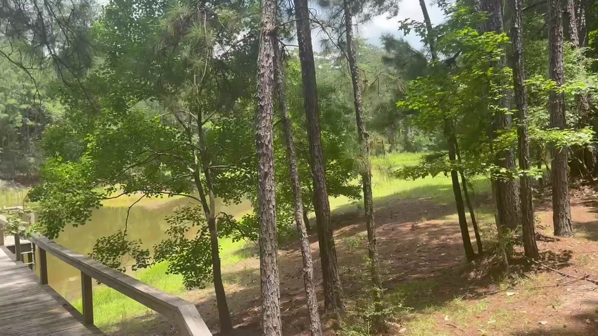 Wooden fishing pier reaching out over the stocked pond