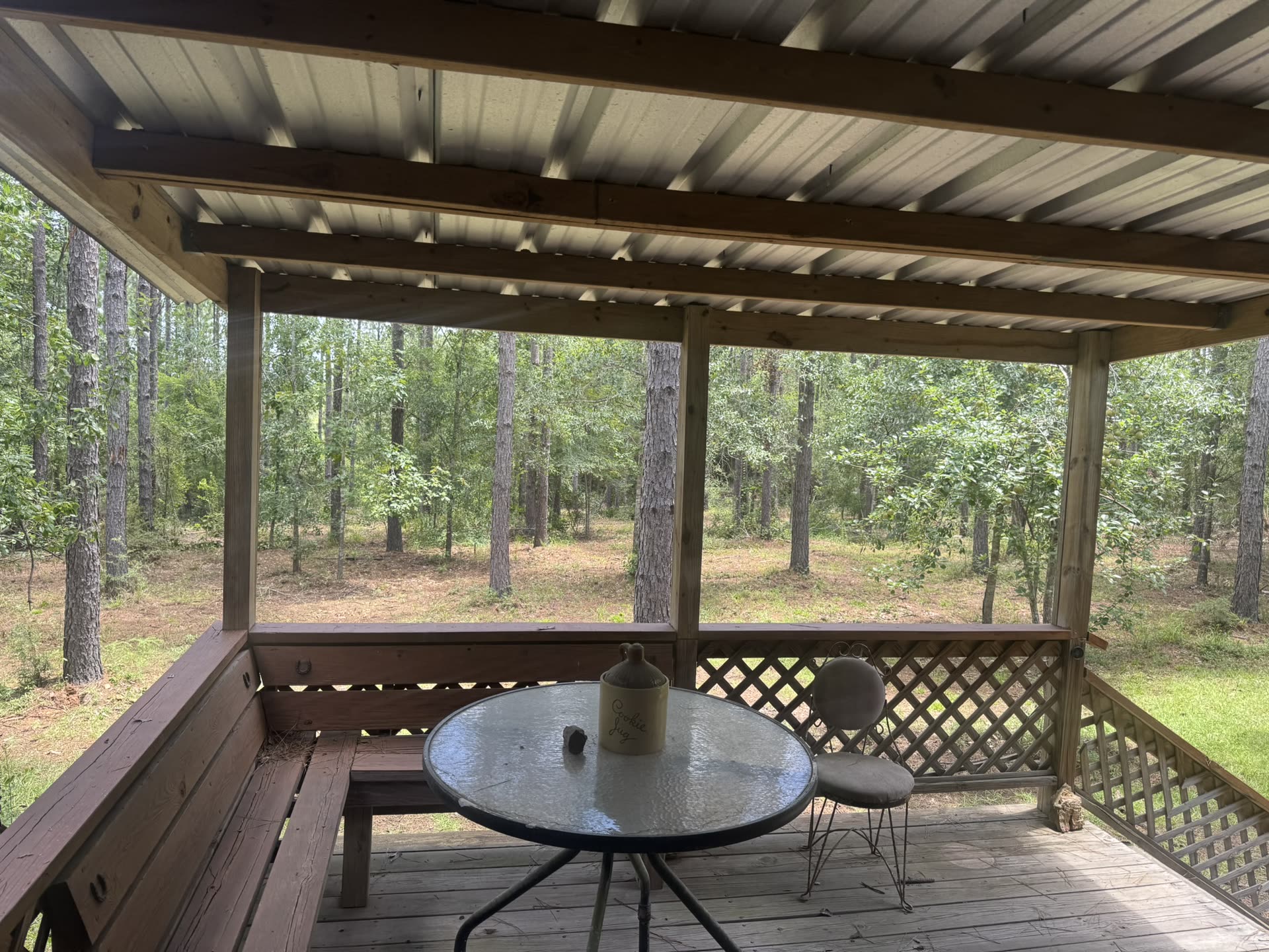 Shaded porch with a table looking straight into the pine woods